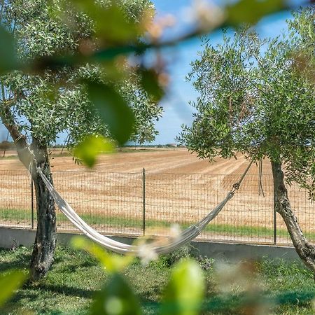 Ortopi Country Canapa House Porto Recanati Exterior photo