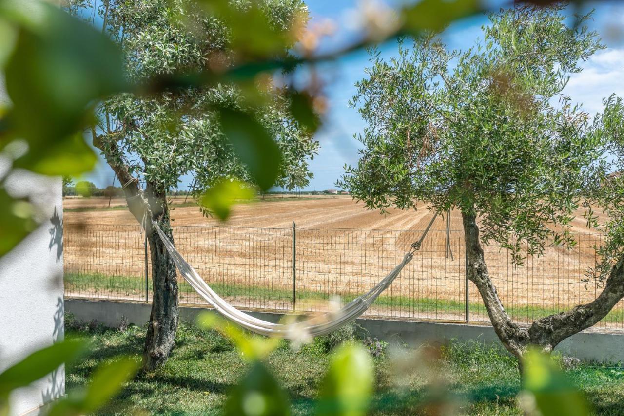 Ortopi Country Canapa House Porto Recanati Exterior photo